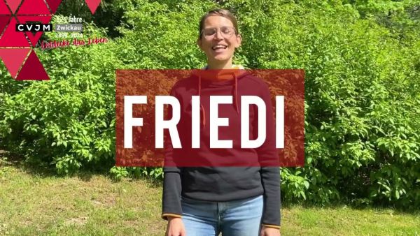 friedi friedi